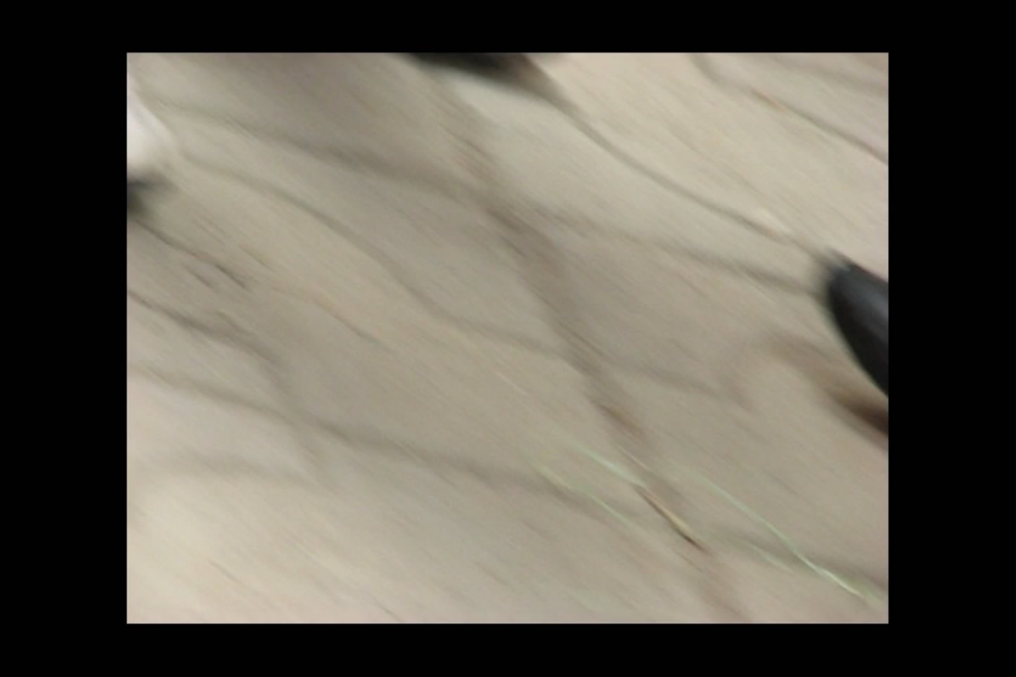 streetsnapshoep[00 01 10][20181209 210131 2]